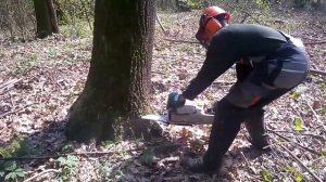 Бензопила STIHL MS 661