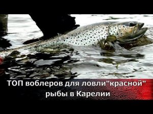 Лучшие воблеры для Карелии