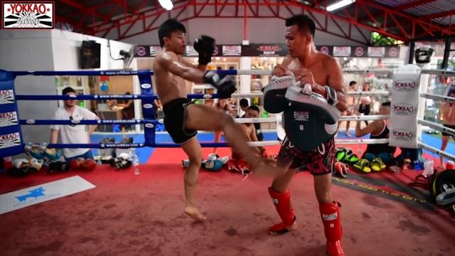 Manachai YOKKAOSaenchaiGym Training and Fights Highlights | Muay Thai Motivation смотреть онлайн
