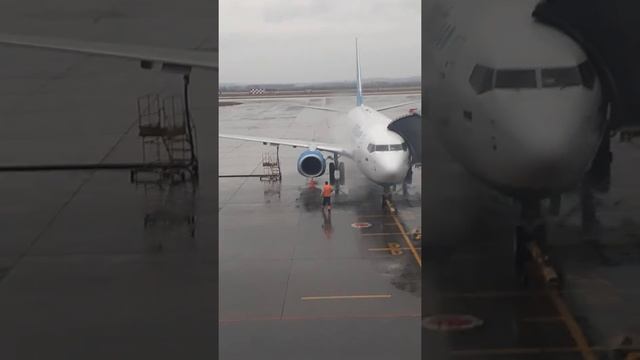 Айрапорт калсово екатеринбурге смотреть онлайн