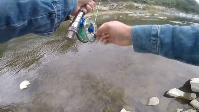 Рыбалка в корее.flyfishing Carp