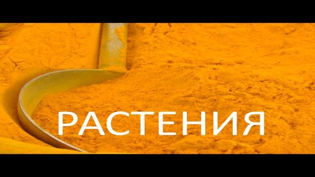 Дизайн игральных карт. Правило "четырёх красок". смотреть онлайн