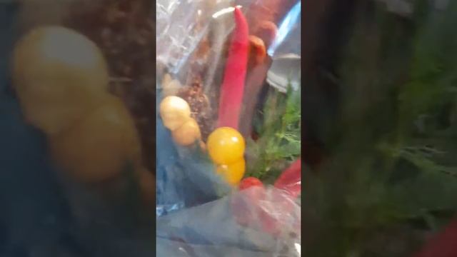 Мясной букет! смотреть онлайн