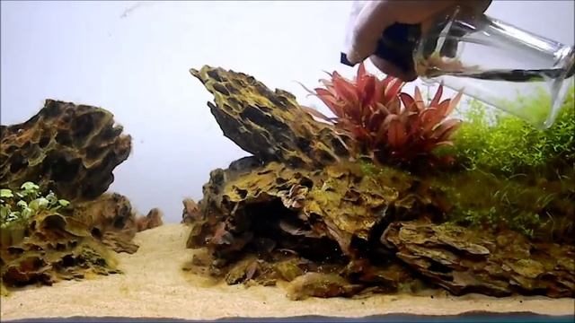 Aquascaping -THE ISLANDS- True story смотреть онлайн