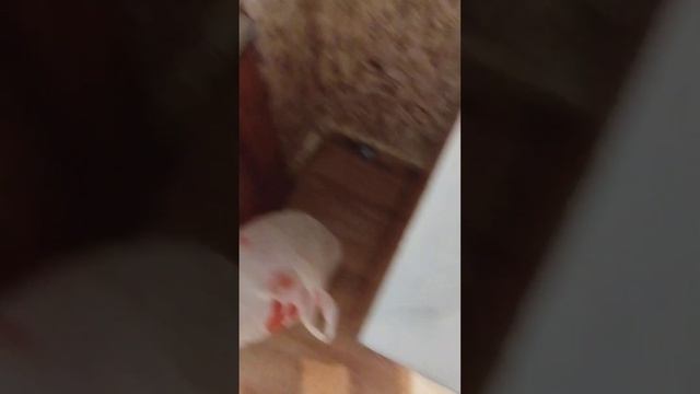 что нужно сделать после запоя смотреть онлайн