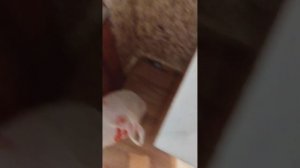 что нужно сделать после запоя