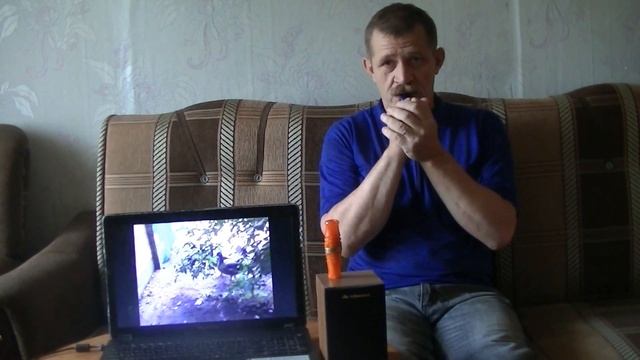 Звучание и некоторые возможности Новой ограниченной серии манков Кетнер на белолобого гуся. смотреть онлайн