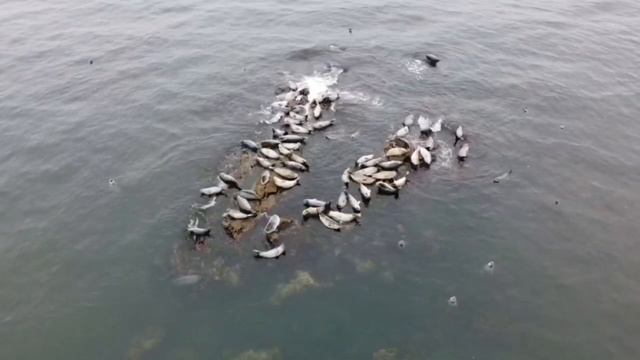 Семейные дела