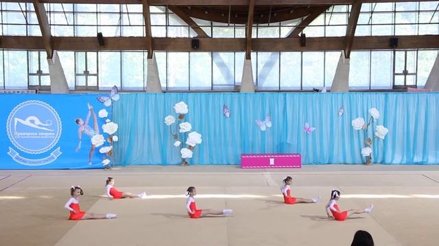 Принцесса спорта. Лето 2017 - Минск-28.05.2017 - ул. Калиновского 111 - 9.00 смотреть онлайн