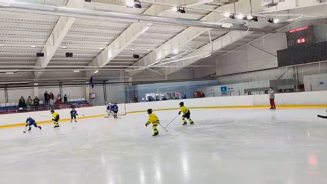 Что за лев этот тигр,71 жжёт!!!#детскийхоккей #турнирпохоккею #пальма #кхл смотреть онлайн