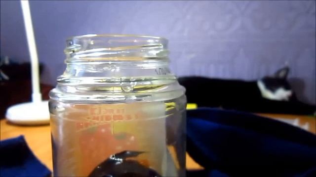 Ребёнок вырастил ГАМУНКУЛА, ОГРОМНЫЙ что каждый гомункул не похож на предыдущего. . смотреть онлайн