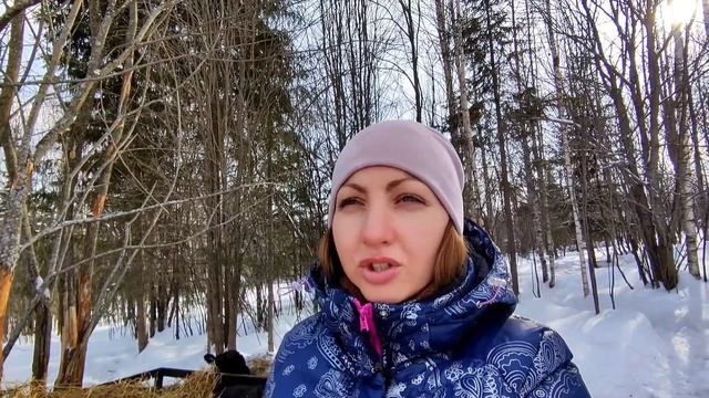 Весна в деревне? Наш невозмутимый бык абердин ангус. Трактор МТЗ-82 выехал на борьбу со снегом. смотреть онлайн