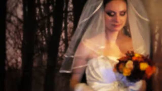 Свадебный видеоролик зимняя свадьба в Днепропетровске TVD-Studio