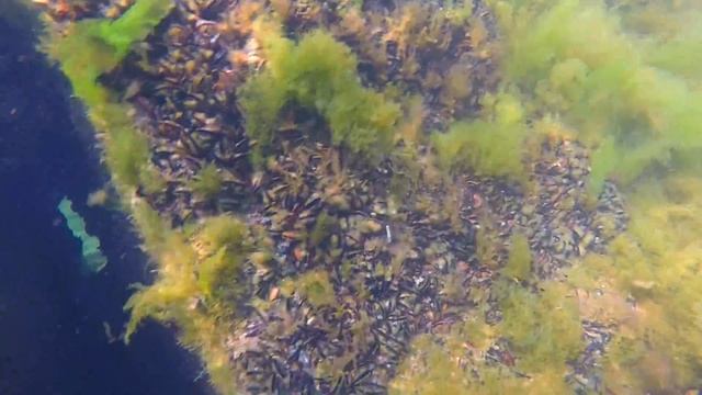 Одесса 13 станция большого фонтана подводная сьемка смотреть онлайн