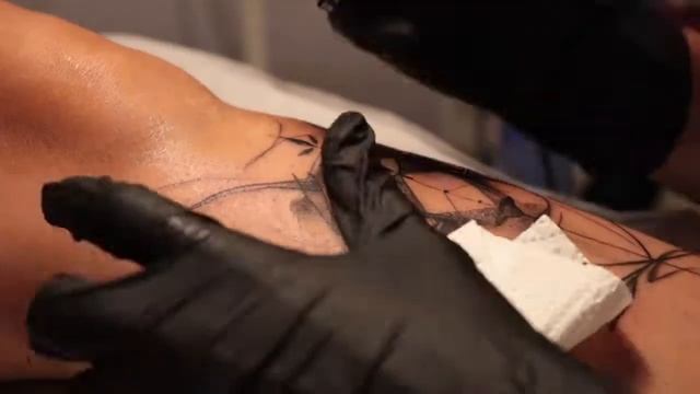 GATO SPHYNX TATTOO смотреть онлайн