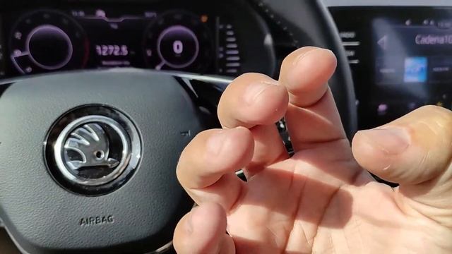 SKODA SCALA 2021 Como Resetear Chivato Presión Neumáticos