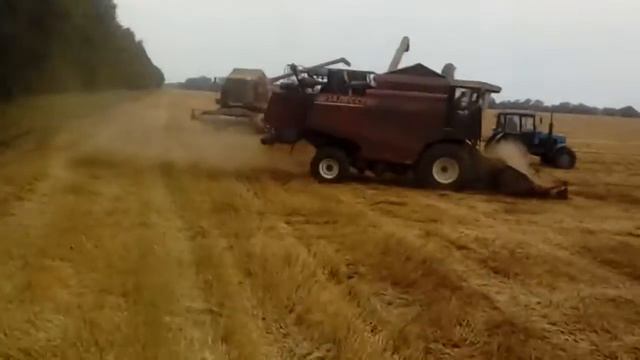 Акрос 580 Обмолот гороха 18 августа 2019 г. смотреть онлайн