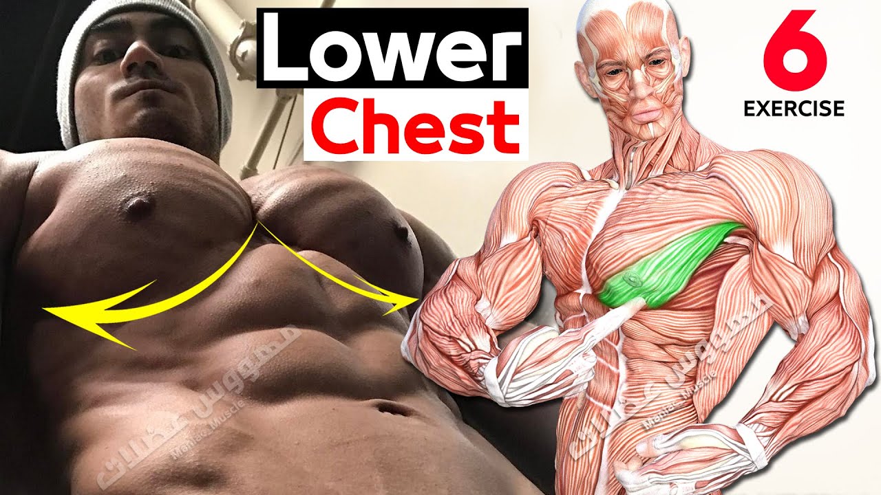 Лучшее упражнение для тренировки нижней части груди ? смотреть онлайн
