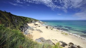 Псалтирь. ПСАЛОМ 89. [рус.]