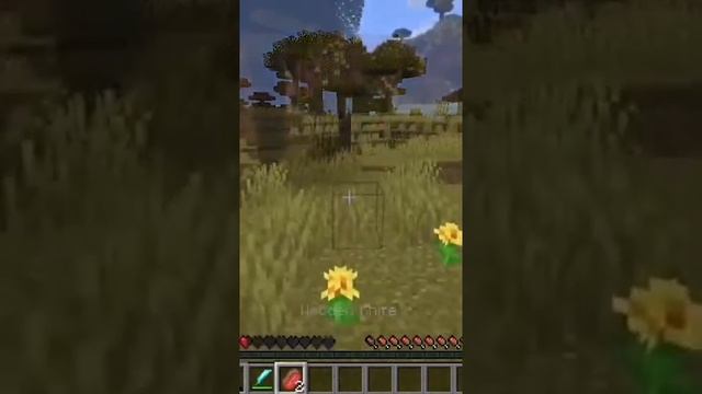 Каннибализм в Майнкрафт #Shorts смотреть онлайн