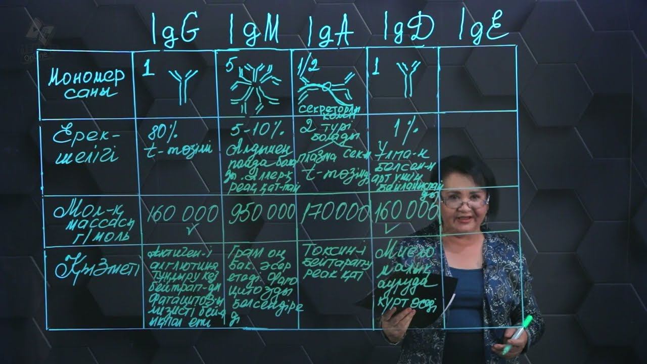 Антиденелердің құрылысы мен құрылымы. Иммуноглобулин класстары. 2 бөлім. 11 сынып. смотреть онлайн