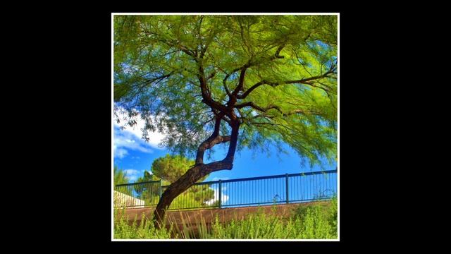 Olympus Pen E P1 смотреть онлайн