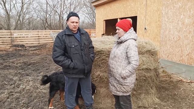 СТАНУ ВЕТЕРИНАРОМ! Продаём ЩЕНЯТ НЕ ДОРОГО! смотреть онлайн