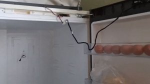 Ремонт холодильника Haier