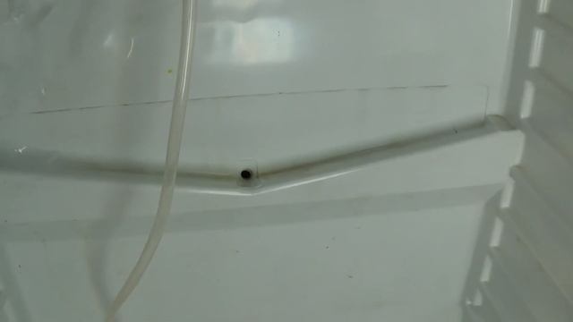 разморозка холодильника смотреть онлайн