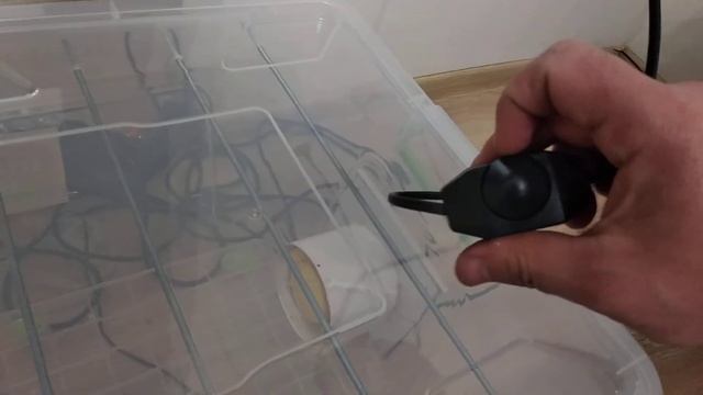 Сушилка для рыбы смотреть онлайн
