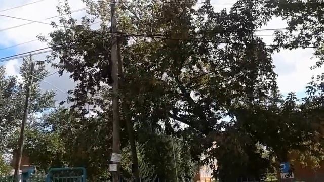 Высоковольтные провода искрят смотреть онлайн