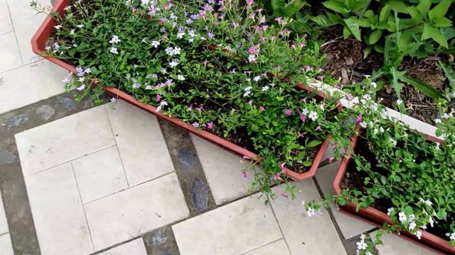 Воронежская область. 3 июня 2023 год. смотреть онлайн