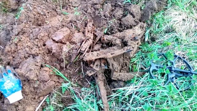 Коп овражного металлолома с ТХ-850. Встреча с хищным зверем? смотреть онлайн