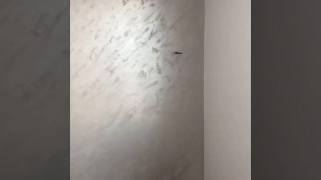 краска песочная смотреть онлайн