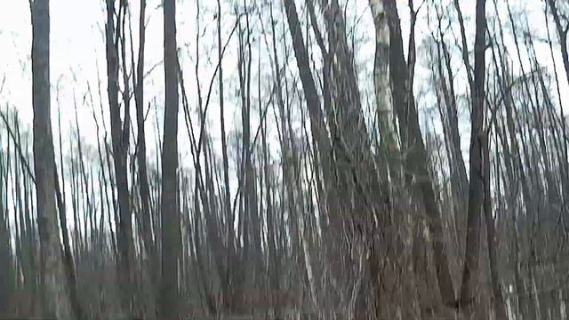 Новый утиный манок в деле. Весна 2022 г. смотреть онлайн