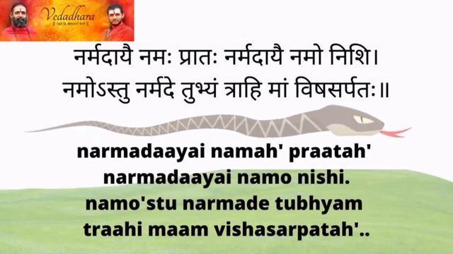 Mantra For Protection From Snakebite With Lyrics In Sanskrit And English | Vedadhara |
