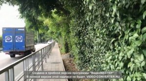 Гуляем по улице декабристов в Лоо, город курорт Сочи. Море 2020