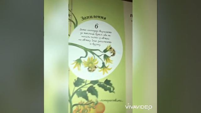 Обзор книги 📕 Эмили Боун «Всё начинается с семечки» смотреть онлайн