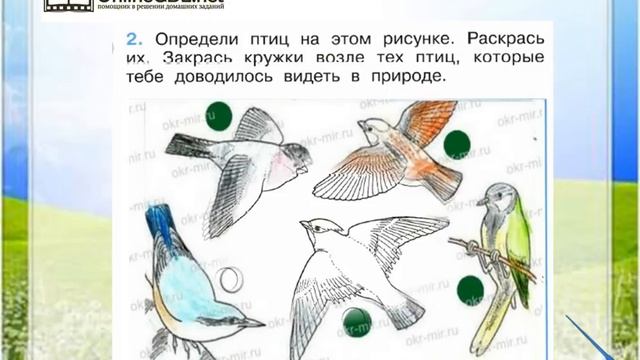 Задание 2 Как зимой помочь птицам? - Окружающий мир 1 класс (Плешаков А.А.) 1 часть смотреть онлайн