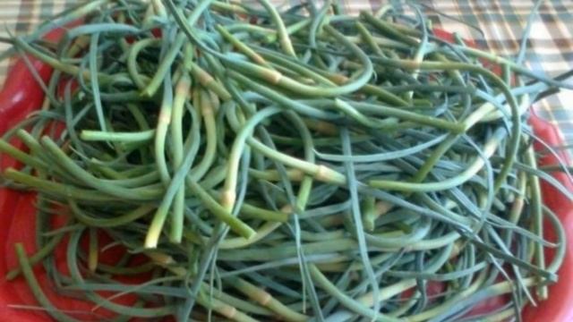 Чеснок. Когда и зачем нужно обрывать стрелку смотреть онлайн