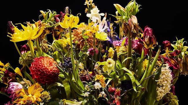 Azuma Makoto Drop Time vol.19_center_60s_loop смотреть онлайн