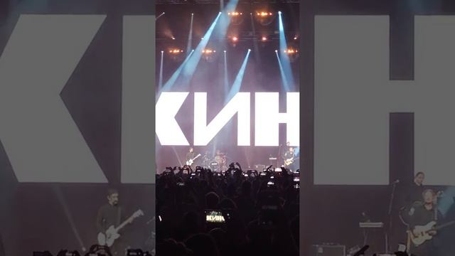 Группа КИНО. Кукушка. Концерт в Москве (май 2021) фрагмент смотреть онлайн
