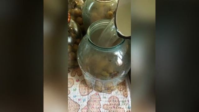 Готовим здоровую пищу 