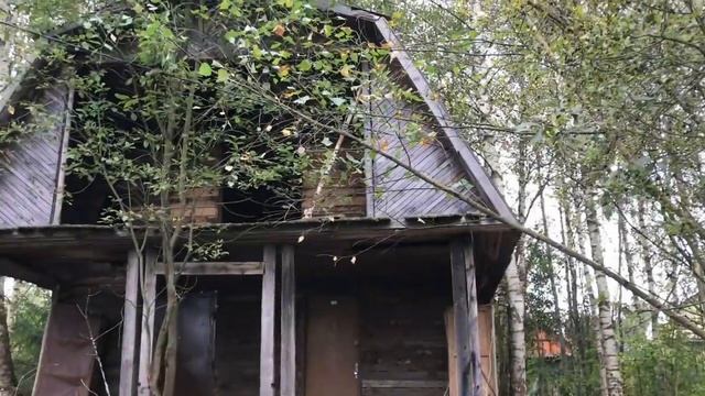 Купили дачу за 240 тыс.руб в подмосковье. Соседи крутят пальцем у виска смотреть онлайн