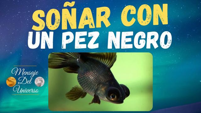 💤 Que significa Soñar con un Pez Negro - Interpretación de mi Sueño con un Pez Negro смотреть онлайн