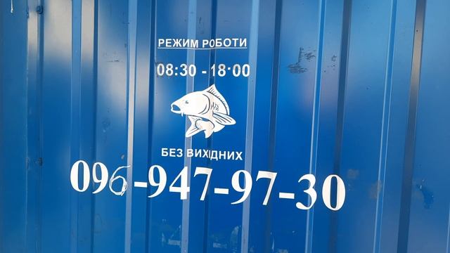 //Їду в м Яготин❗️ Риболовля на Товстолоба❗️Зловив ????Лобатих і всі по 5кг//Жива риба 0969479730// смотреть онлайн