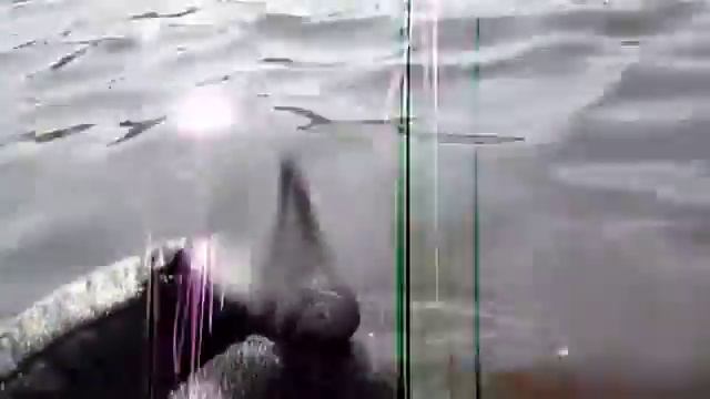 Металлоискатель на пляже 12 c kladoiskatel.net смотреть онлайн