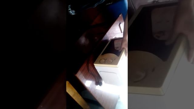 Что будет если засунуть колонку в микроволновку смотреть онлайн