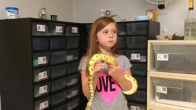 Emma’s Favorite Python Morph смотреть онлайн