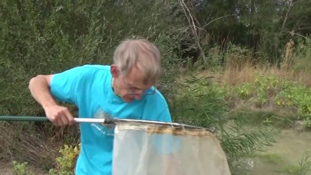 Энтомолог в Турции: Исследование Насекомых, Ayas, Beypazari, Ankara, Turkey